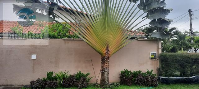 paisagismo