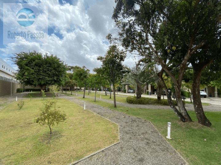 pista de cooper